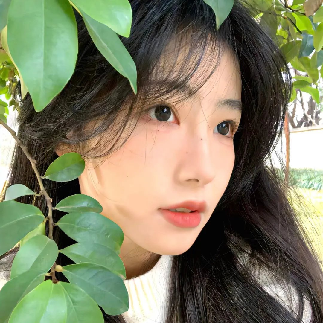 朱家花园