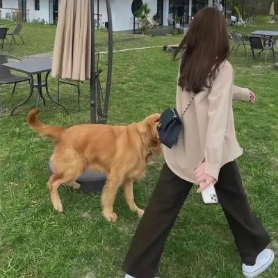 拜见婆婆大人Ⅱ